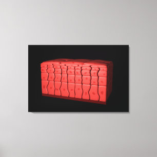 Concept Of Stratified Squamous Epithelium 2 Canvas Print