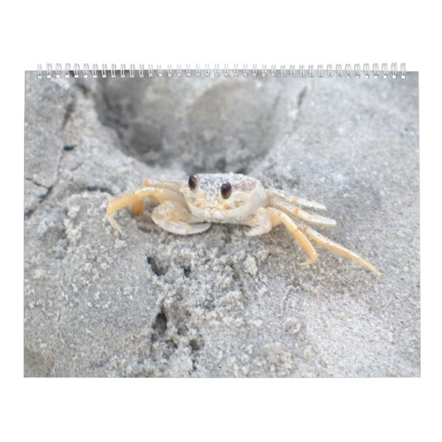 Conception 2 de calendrier mural d'île de Pawleys (Protection)