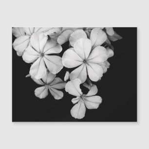 Conception de carte postale noir et blanc