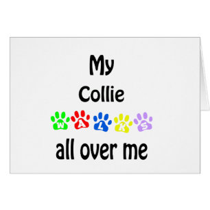 Conception de Collie Walks