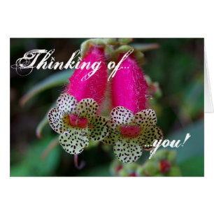 Conception de fleur de léopard