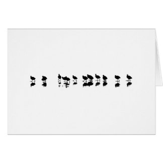 Conception de foulque maroule - noir sur le blanc