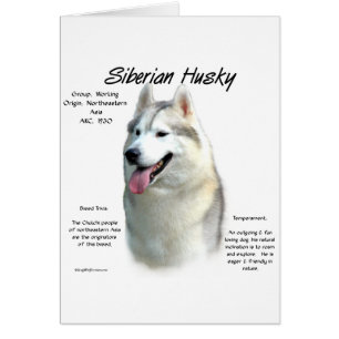 Conception de l'histoire de Husky en Sibérie
