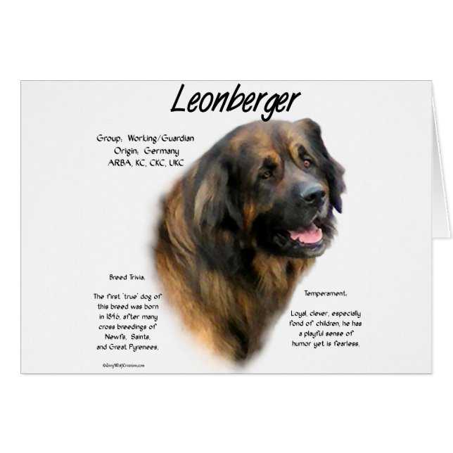 Conception de l'histoire de Leonberger (Devant horizontal)