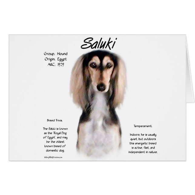 Conception de l'histoire de Saluki (Devant horizontal)