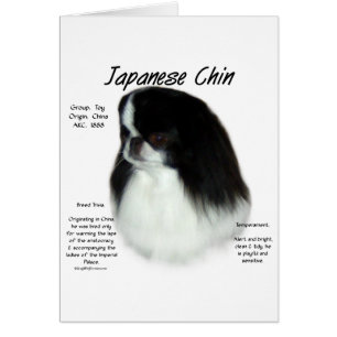 Conception de l'histoire du chinois japonais