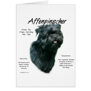 Conception de l'historique Affenpinscher