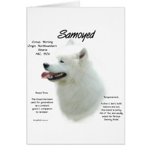 Conception de l'historique Samoyed