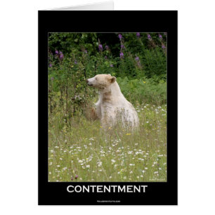 Conception de l'ours pour les animaux et les anima