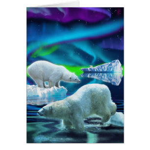 Conception de l'ours pour les animaux et les anima