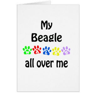 Conception de marches beagles