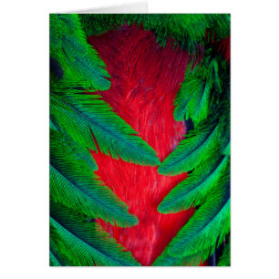 Conception de plume de Quetzal resplendissant