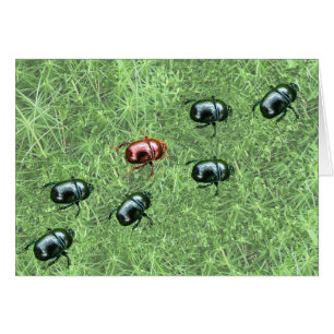 Conception de scarabée