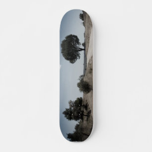 CONCEPTION DE STYLE SKATEBOARD