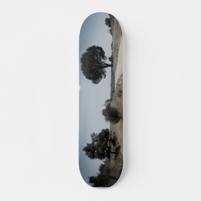CONCEPTION DE STYLE SKATEBOARD (Devant)