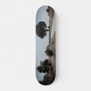 CONCEPTION DE STYLE SKATEBOARD