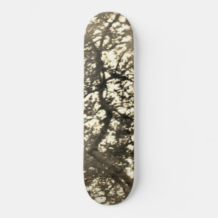 CONCEPTION DE STYLE SKATEBOARD