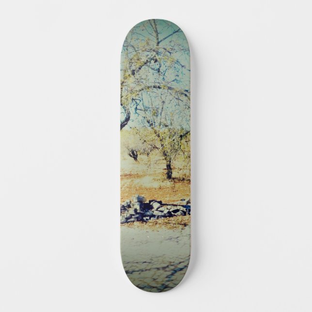 CONCEPTION DE STYLE SKATEBOARD (Recto)