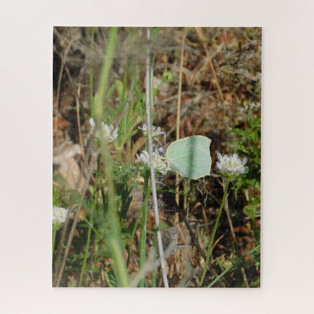 Conception de vue de jardin de puzzle style (Vertical)