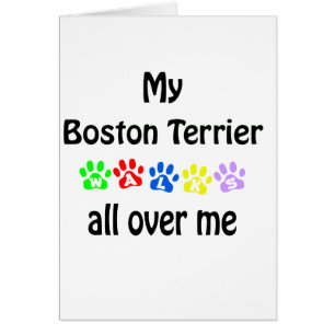 Conception des marches de Boston Terrier