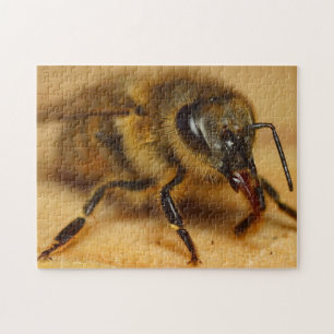 Conception du puzzle Bumble Bee