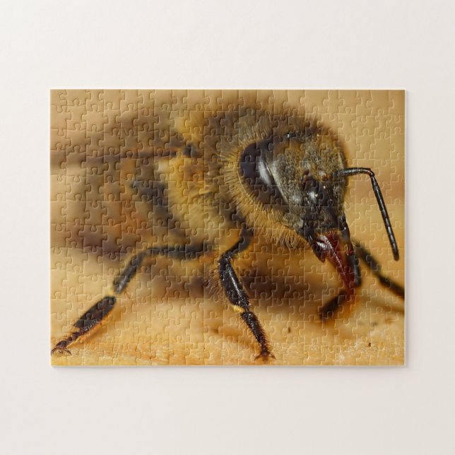 Conception du puzzle Bumble Bee (Horizontal)