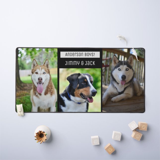 Conception moderne Trois Chiens Bureau photo Mat (Tableau pour enfants)