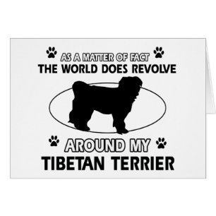 Conceptions drôles de terrier tibétain