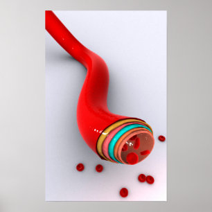 Conceptual Image Of A Blood Vessel Poster