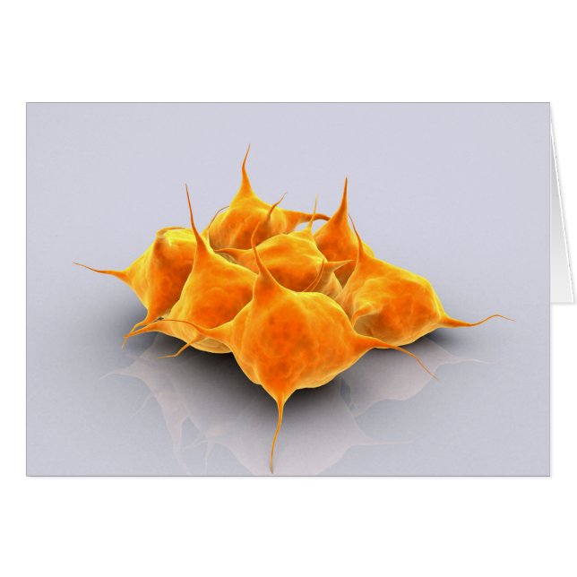 Conceptual Image Of A Group Of Platelets (Front Horizontal)