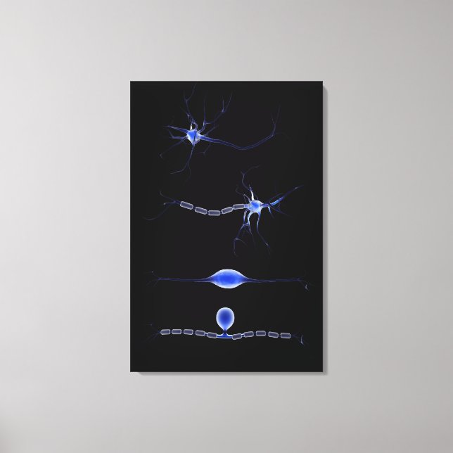 Conceptual Image Of A Neuron 1 Canvas Print (Front)