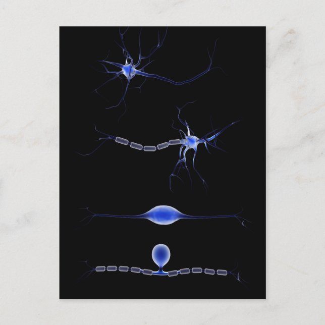 Conceptual Image Of A Neuron 1 Postcard (Front)