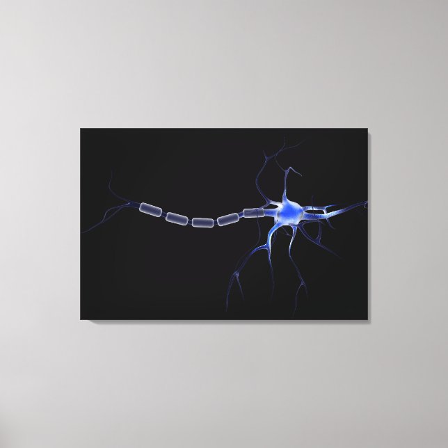 Conceptual Image Of A Neuron 2 Canvas Print (Front)