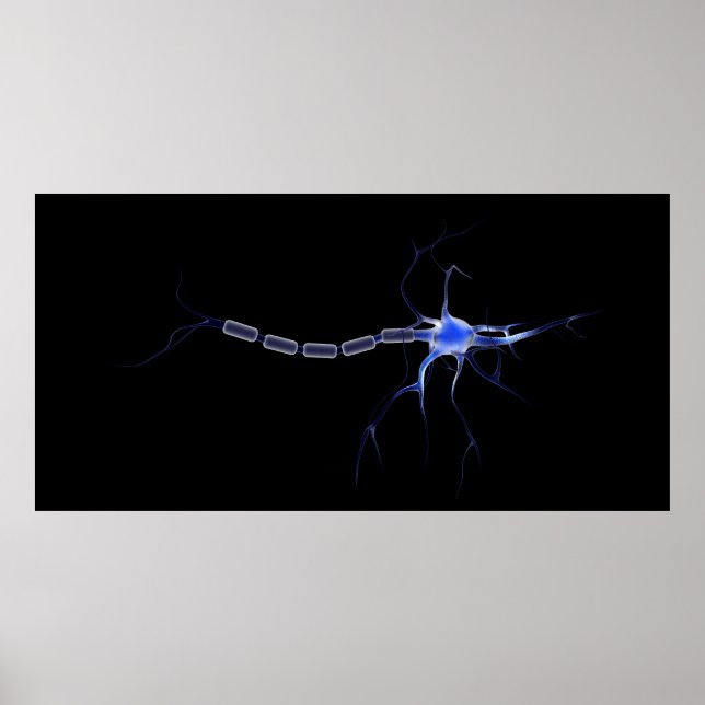 Conceptual Image Of A Neuron 2 Poster (Front)