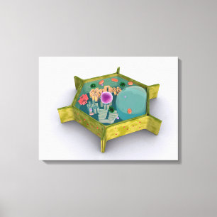 Conceptual Image Of A Plant Cell Canvas Print
