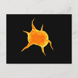 Conceptual Image Of A Platelet Postcard