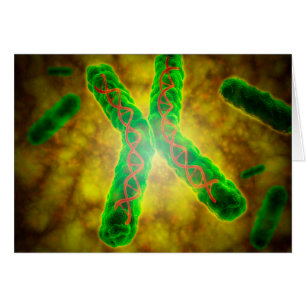 Conceptual Image Of A Telomere