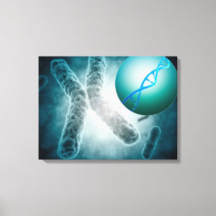 Conceptual Image Of A Telomere Showing DNA Canvas Print
