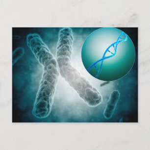 Conceptual Image Of A Telomere Showing DNA Postcard
