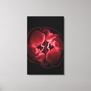 Conceptual image of a womb containing twins canvas print