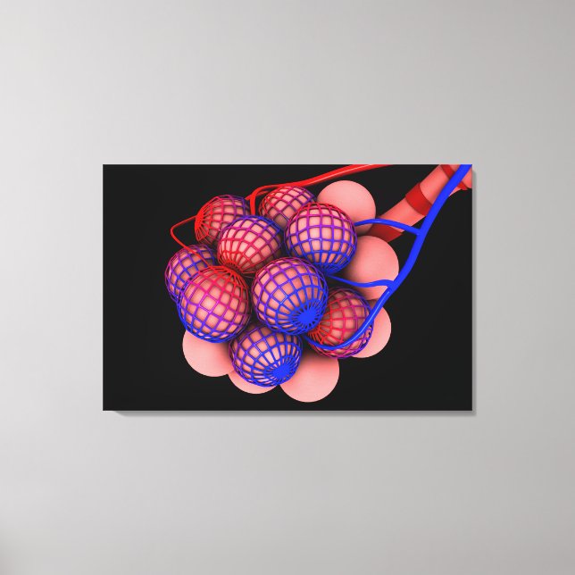 Conceptual Image Of Alveoli 1 Canvas Print (Front)