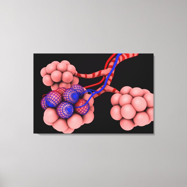 Conceptual Image Of Alveoli 2 Canvas Print (Front)