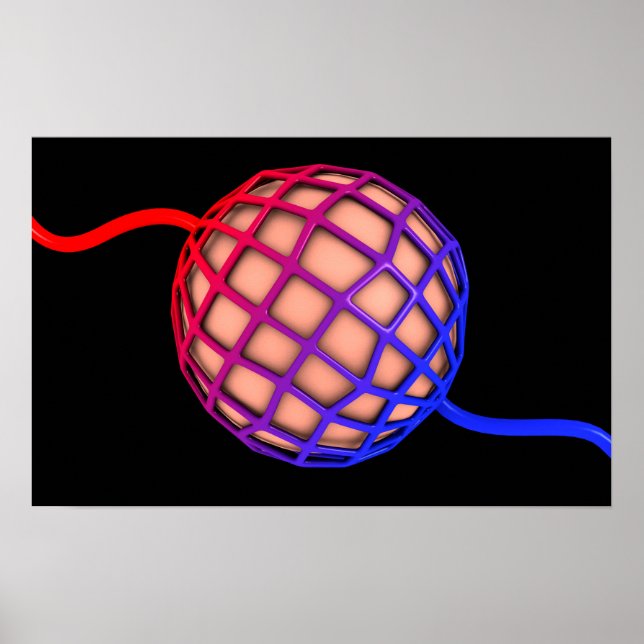 Conceptual Image Of Alveolus Poster (Front)