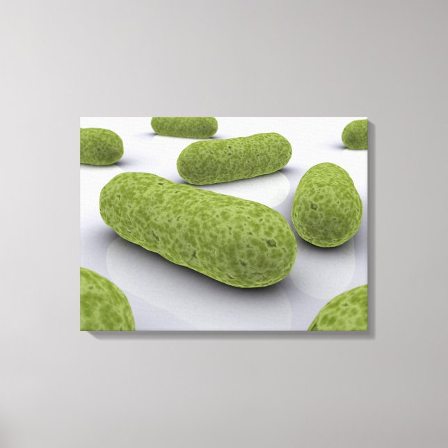 Conceptual Image Of Bacteria 1 Canvas Print (Front)