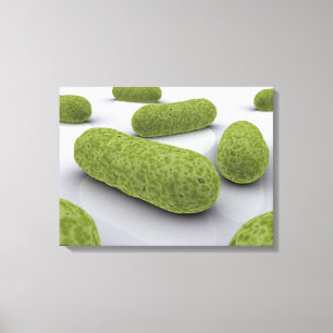Conceptual Image Of Bacteria 1 Canvas Print