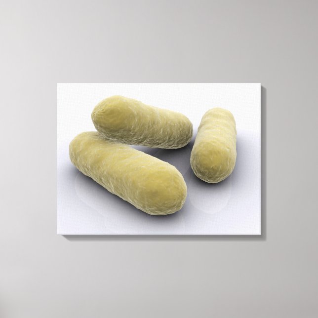 Conceptual Image Of Bacteria 2 Canvas Print (Front)