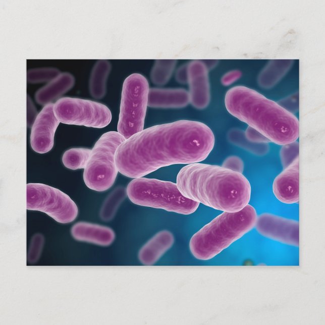 Conceptual Image Of Bacteria 3 Postcard (Front)