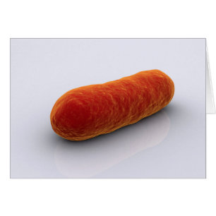 Conceptual Image Of Bacteria 4