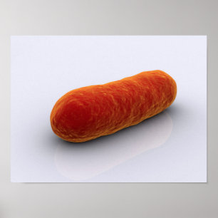 Conceptual Image Of Bacteria 4 Poster