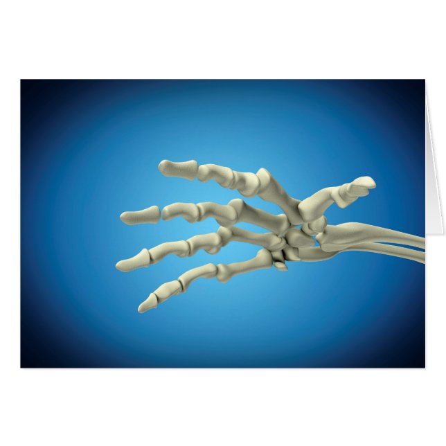 Conceptual Image Of Bones In Human Hand 1 (Front Horizontal)